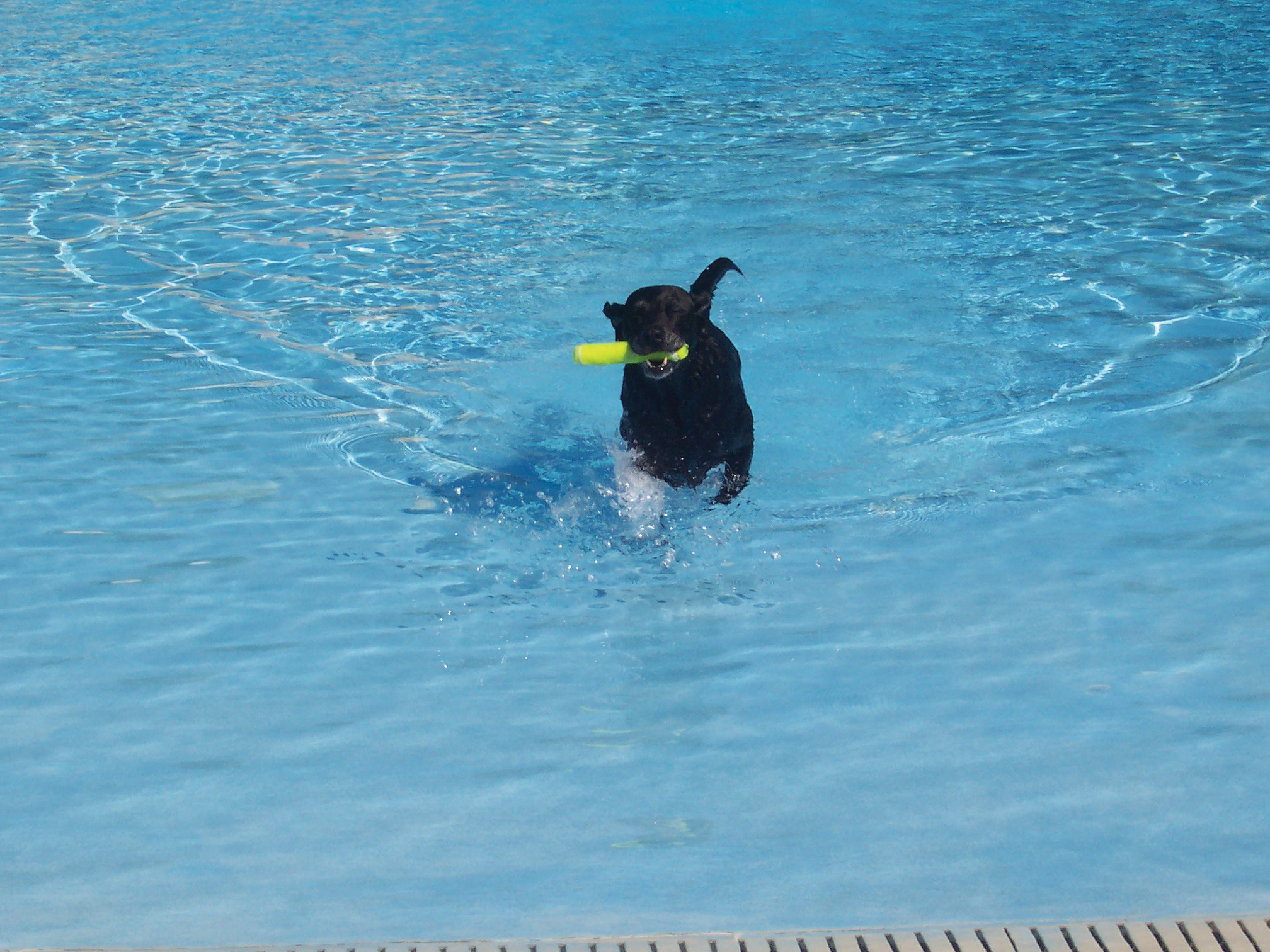Noelle-Wave-Pool-Photo